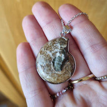 Load image into Gallery viewer, Ammonit Fossil 3cm - White Gold; 45cm - 50cm - Hex + Stones